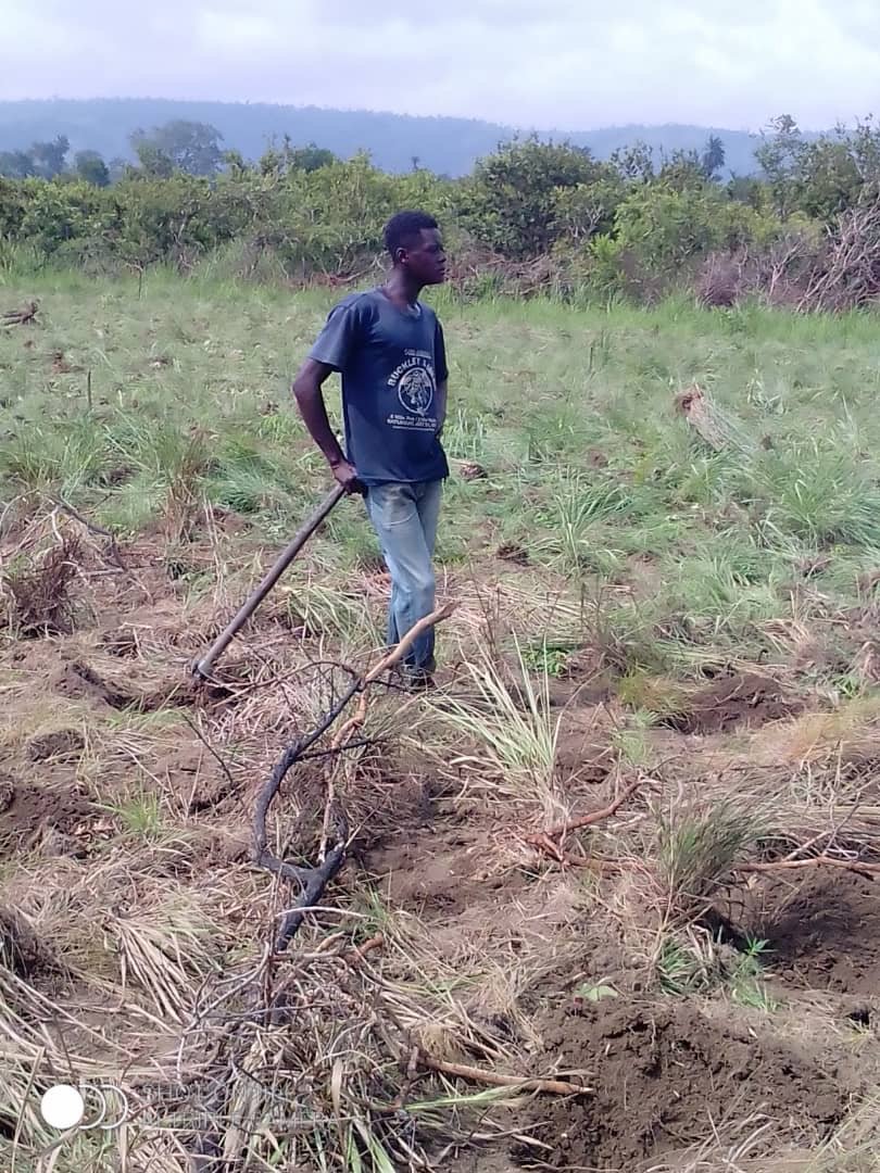 Un homme muni d’un outil agricole sur une parcelle du terrain.